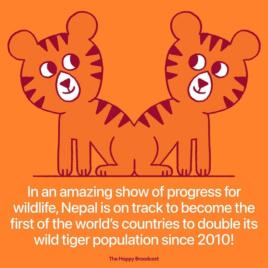 I’m Honestly Fed Up With All The Bad News, So I Illustrated 40 Of The Best Ones From 2022