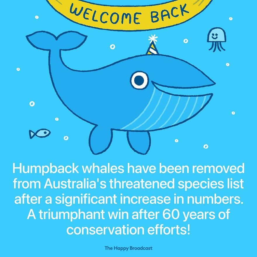 I’m Honestly Fed Up With All The Bad News, So I Illustrated 40 Of The Best Ones From 2022