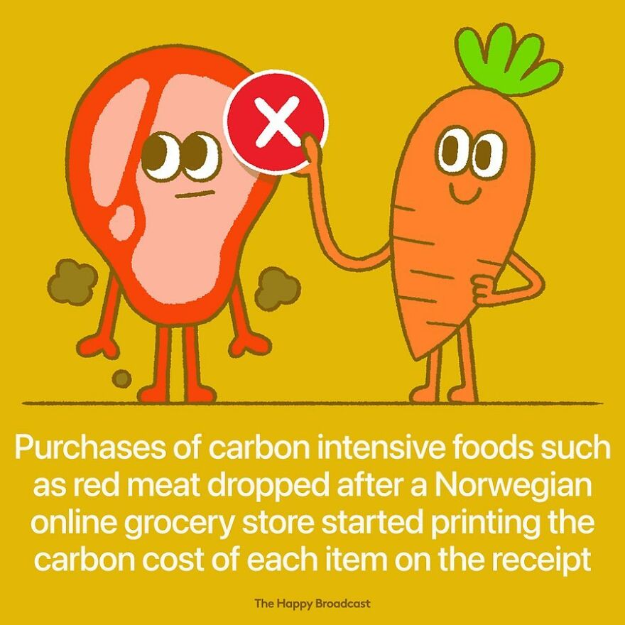 I’m Honestly Fed Up With All The Bad News, So I Illustrated 40 Of The Best Ones From 2022