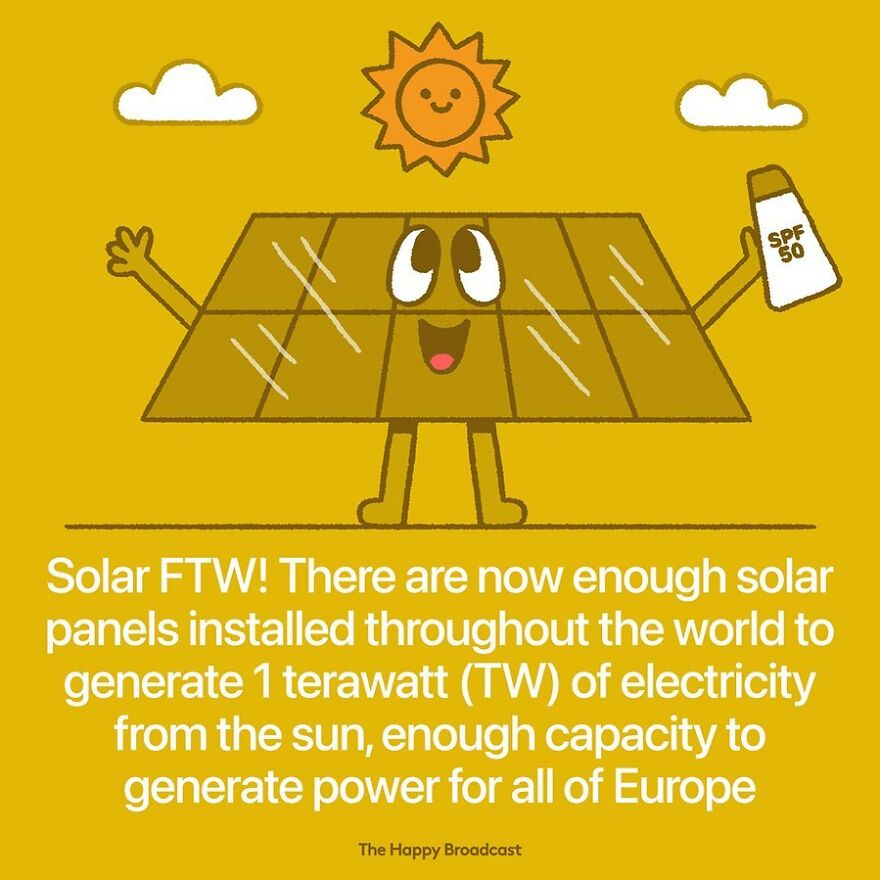 I’m Honestly Fed Up With All The Bad News, So I Illustrated 40 Of The Best Ones From 2022