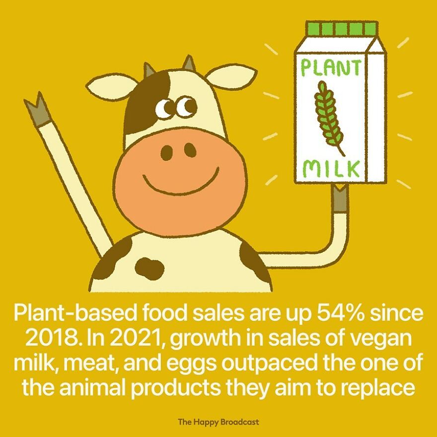 I’m Honestly Fed Up With All The Bad News, So I Illustrated 40 Of The Best Ones From 2022