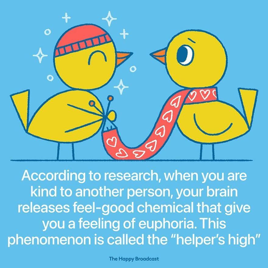 I’m Honestly Fed Up With All The Bad News, So I Illustrated 40 Of The Best Ones From 2022