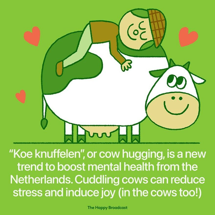 I’m Honestly Fed Up With All The Bad News, So I Illustrated 40 Of The Best Ones From 2022