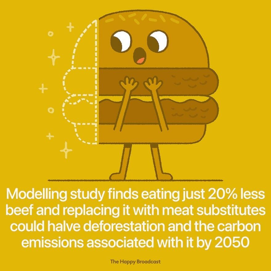 I’m Honestly Fed Up With All The Bad News, So I Illustrated 40 Of The Best Ones From 2022