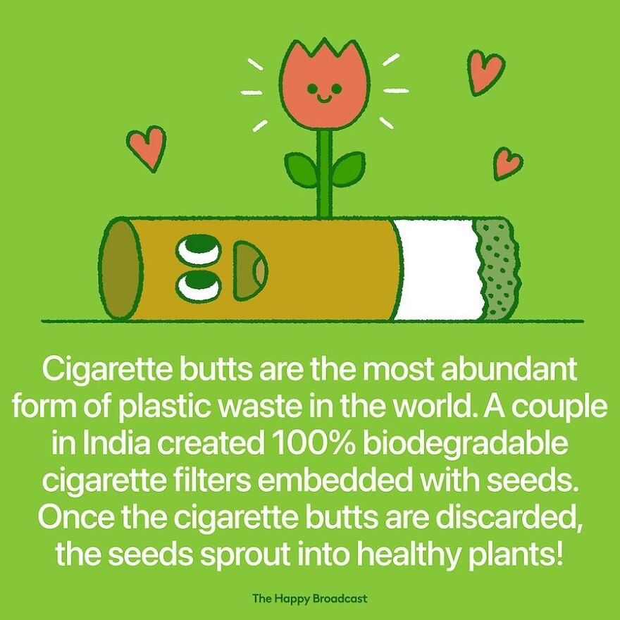 I’m Honestly Fed Up With All The Bad News, So I Illustrated 40 Of The Best Ones From 2022