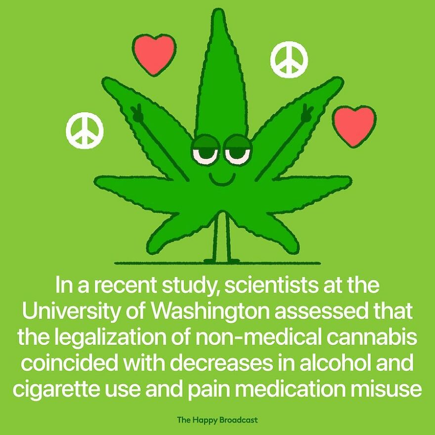 I’m Honestly Fed Up With All The Bad News, So I Illustrated 40 Of The Best Ones From 2022