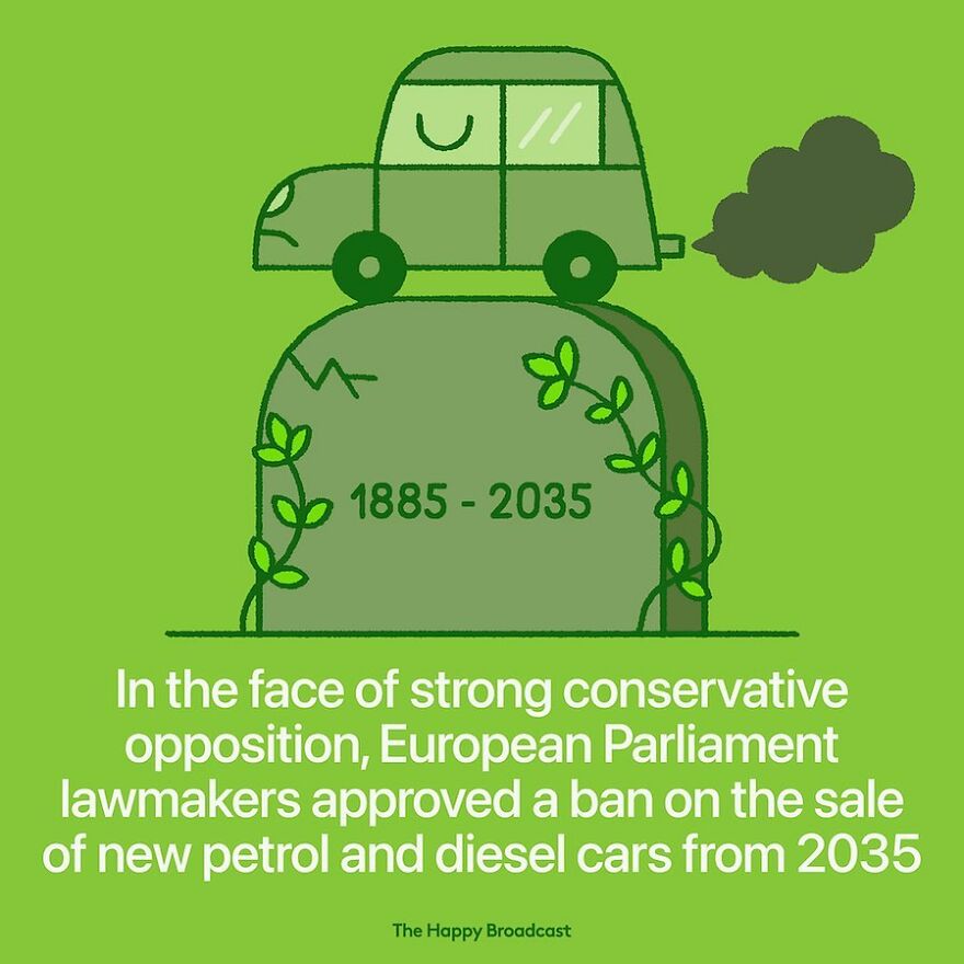 I’m Honestly Fed Up With All The Bad News, So I Illustrated 40 Of The Best Ones From 2022