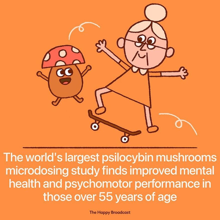 I’m Honestly Fed Up With All The Bad News, So I Illustrated 40 Of The Best Ones From 2022