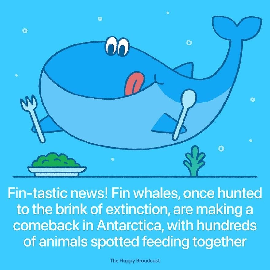 I’m Honestly Fed Up With All The Bad News, So I Illustrated 40 Of The Best Ones From 2022