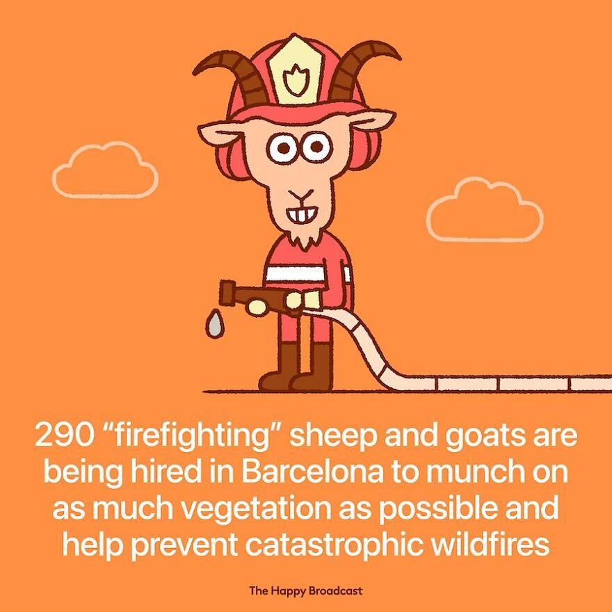 I’m Honestly Fed Up With All The Bad News, So I Illustrated 40 Of The Best Ones From 2022