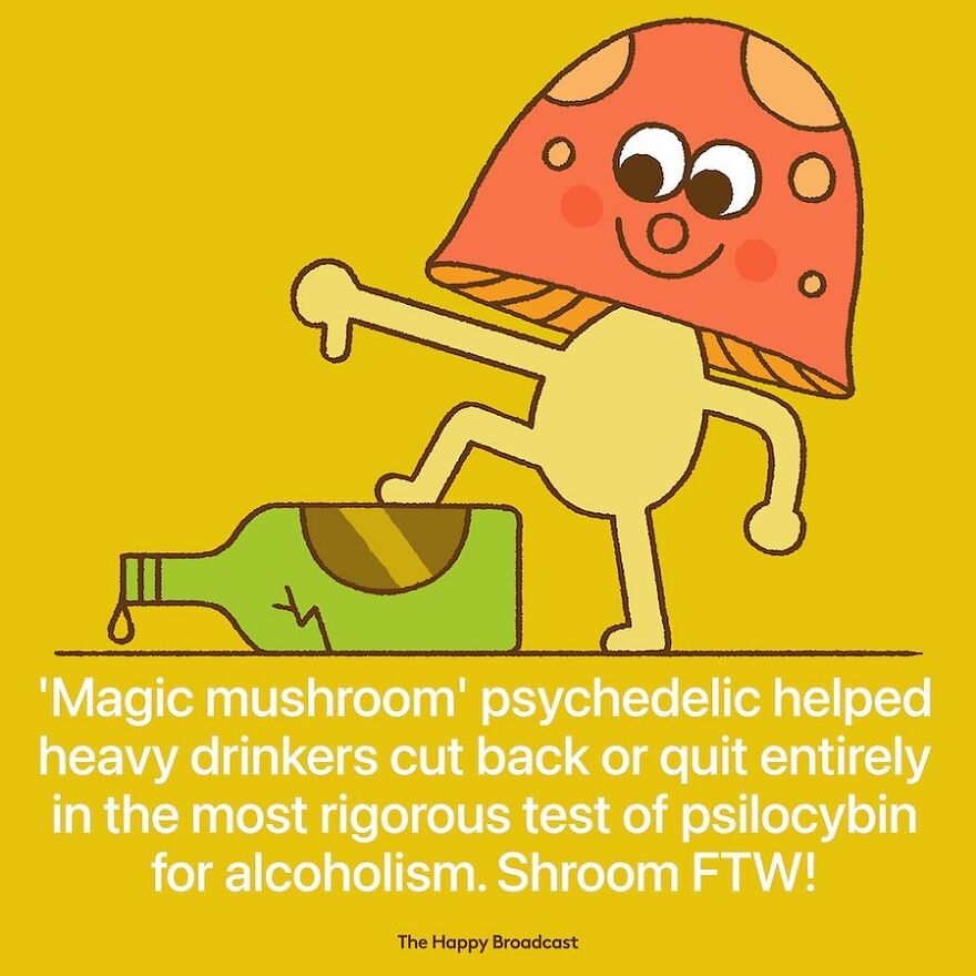 I’m Honestly Fed Up With All The Bad News, So I Illustrated 40 Of The Best Ones From 2022