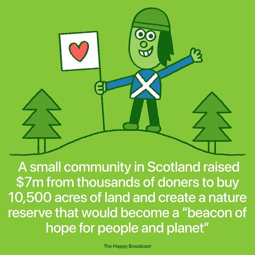 I’m Honestly Fed Up With All The Bad News, So I Illustrated 40 Of The Best Ones From 2022