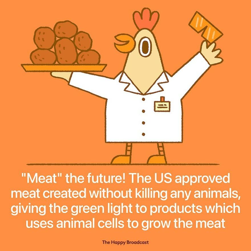 I’m Honestly Fed Up With All The Bad News, So I Illustrated 40 Of The Best Ones From 2022