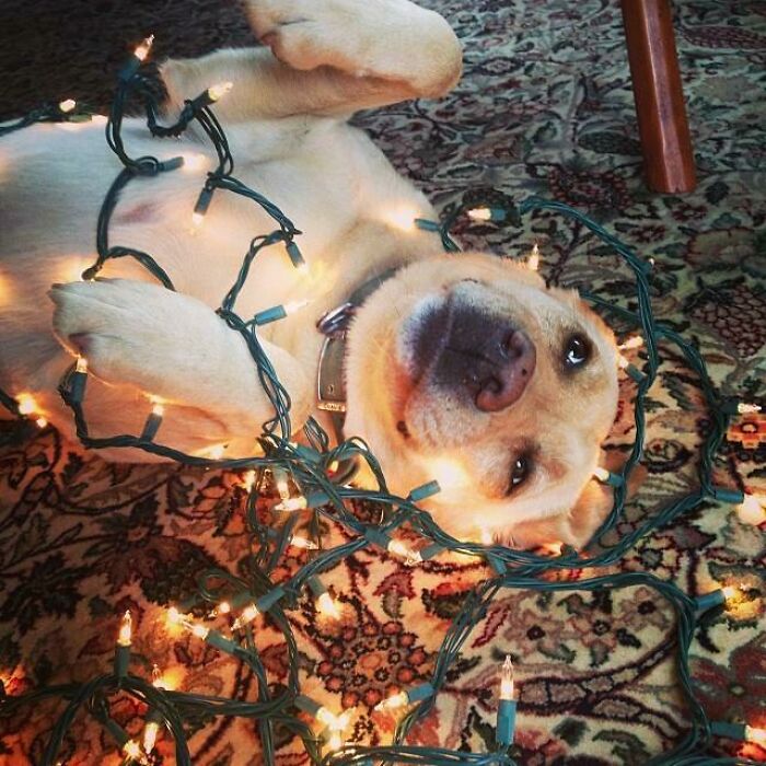 Sonny Wasn't Ready For Christmas To End