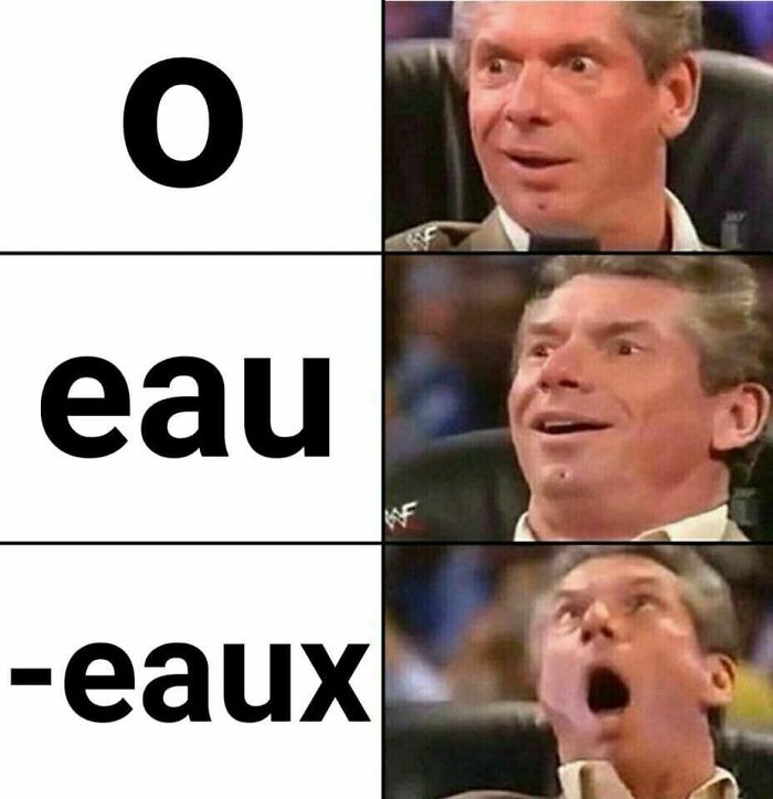 Silly Linguistics Magazine: A Magazine For Language Lovers Everywhere Https://Bit.ly/3ctpdad