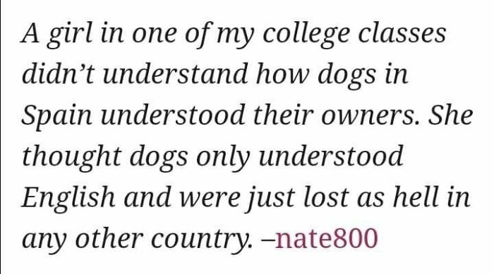 Silly Linguistics Magazine: A Magazine For Language Lovers Everywhere Https://Bit.ly/3ctpdad