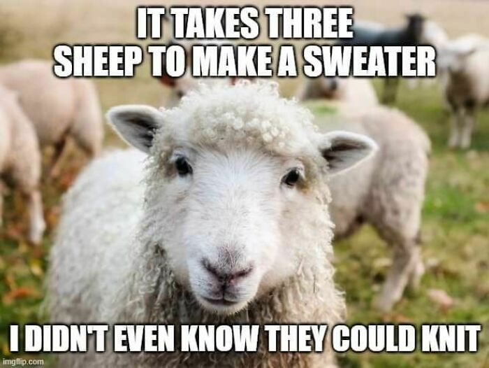 Silly Linguistics Magazine: A Magazine For Language Lovers Everywhere Https://Bit.ly/3ctpdad