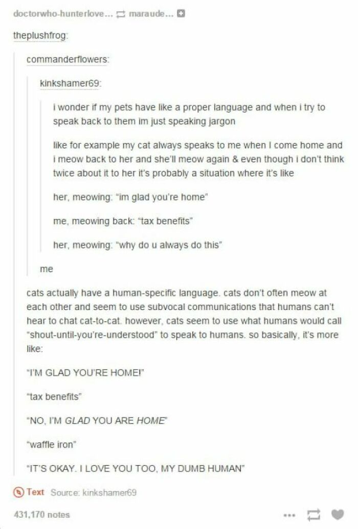 Silly Linguistics Magazine: A Magazine For Language Lovers Everywhere Https://Bit.ly/3ctpdad