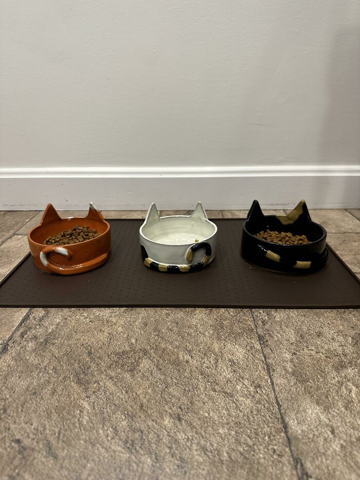 Made Custom Bowls For My Cats