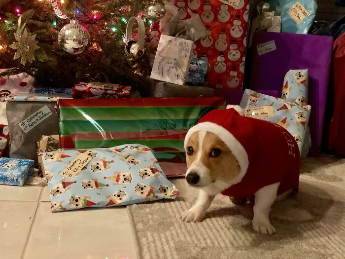 Have Yourself A Very Awkward Christmas...