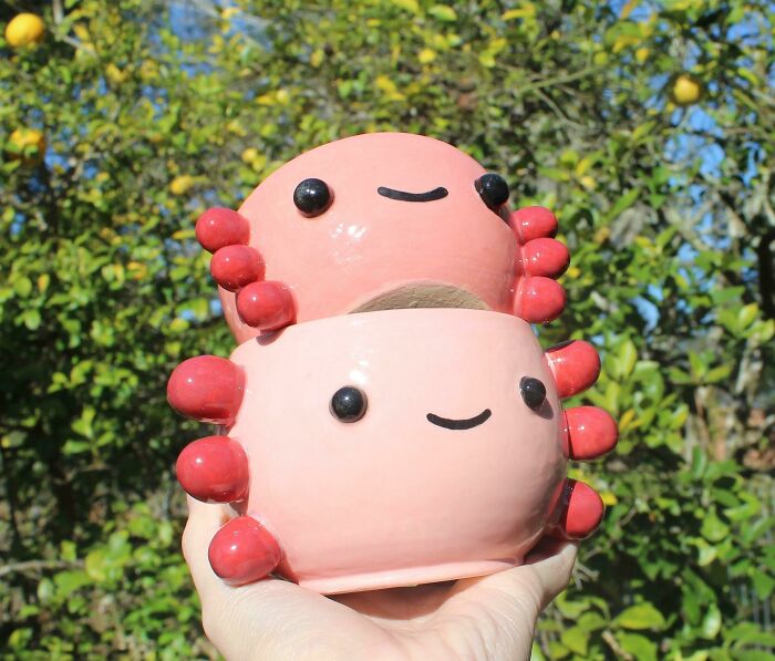 A Pair Of Axolotls Enjoying The Outdoors!