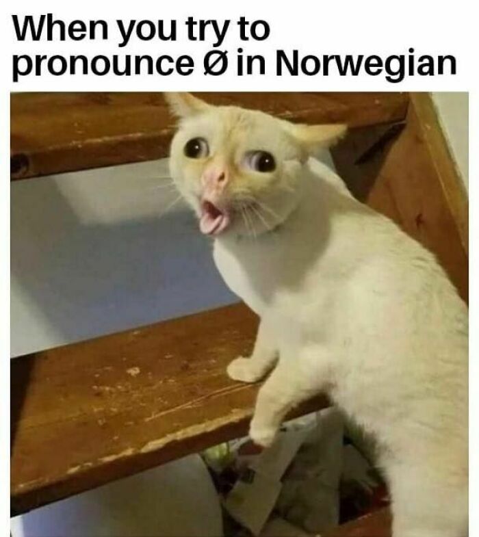 Silly Linguistics Magazine: A Magazine For Language Lovers Everywhere Https://Bit.ly/3ctpdad