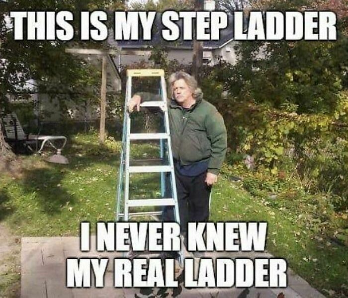 Silly Linguistics Magazine: A Magazine For Language Lovers Everywhere Https://Bit.ly/3ctpdad