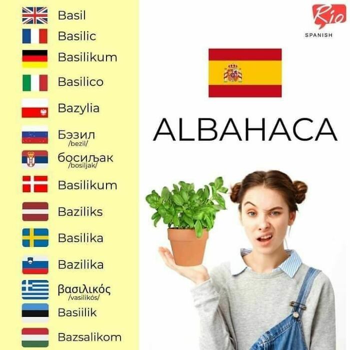 Silly Linguistics Magazine: A Magazine For Language Lovers Everywhere Https://Bit.ly/3ctpdad