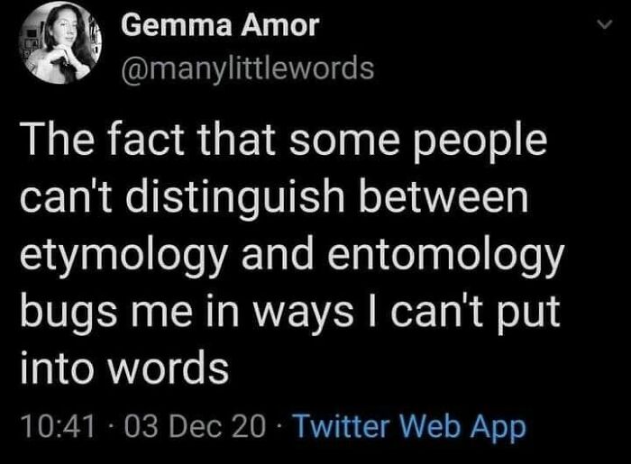 Silly Linguistics Magazine: A Magazine For Language Lovers Everywhere Https://Bit.ly/3ctpdad