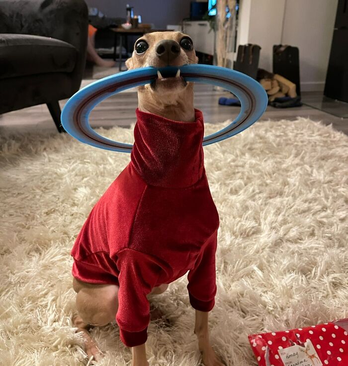 She Got What She Wanted For Christmas