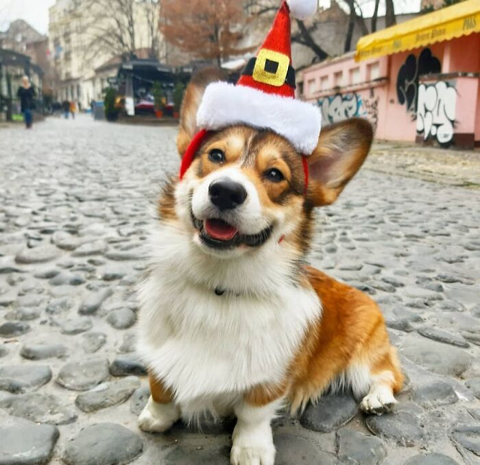 Eddie Wishes You A Merry Christmas