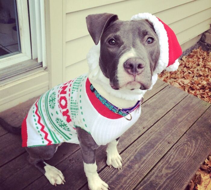 Maeby Is All Ready For Christmas!