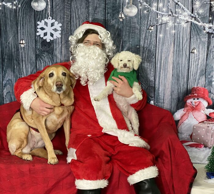 Doing Their Best Impressions Of A Melted Candle And Tiny Tim For This Year’s Christmas Photo