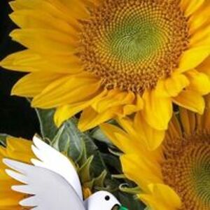 catherinebaker67 avatar