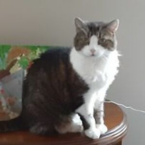 phyllismorrison115 avatar