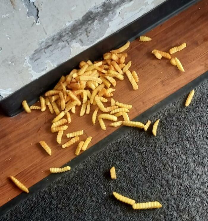 I've Been At Work For About 10 Hours And I Haven't Eaten Anything Since I Got There, I Finally Got A Chance To Order Some Fries From A Nearby BBQ Shop... And I Dropped It