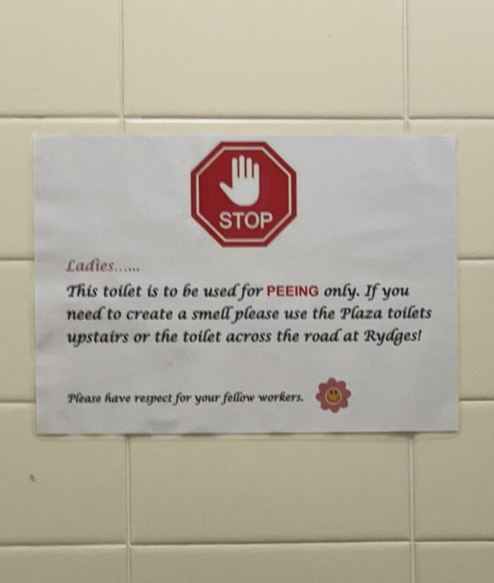 My Work Doesn’t Allow You To Use A Toilet As A Toilet