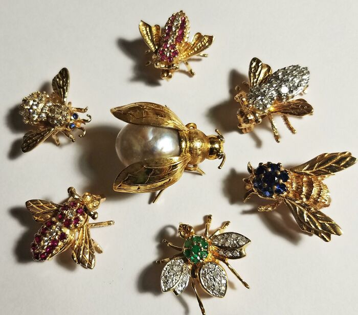 My Wife's Little Insect Pin Collection. I Love The Middle Beetle With The Champagne Color Pearl For A Butt!