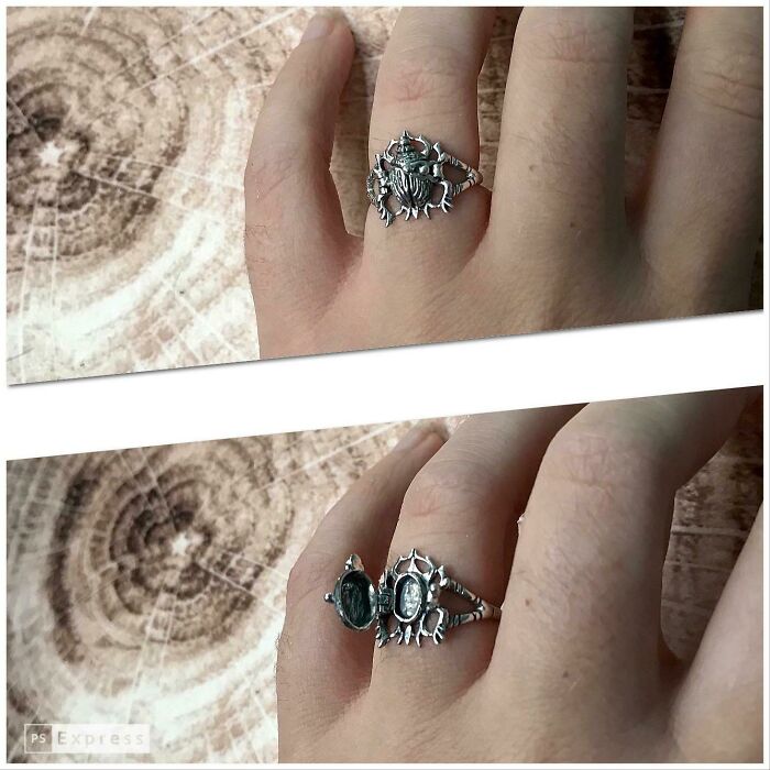 ¡No puedo esperar a envenenar a todos en la cena de Navidad!