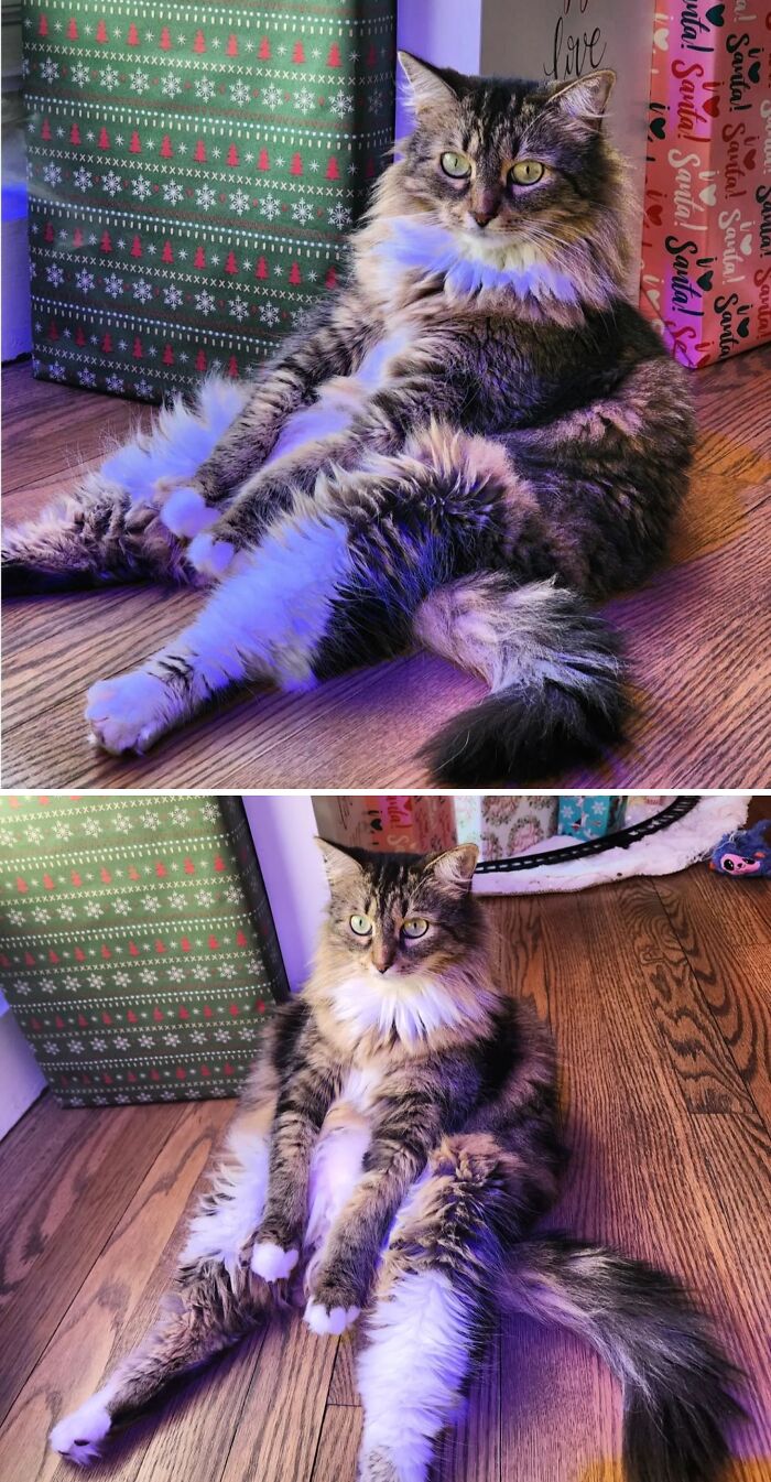 Kiki Waiting For Christmas Like