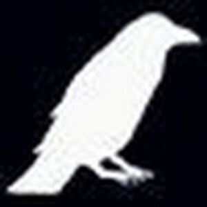 katrinakoelbel avatar