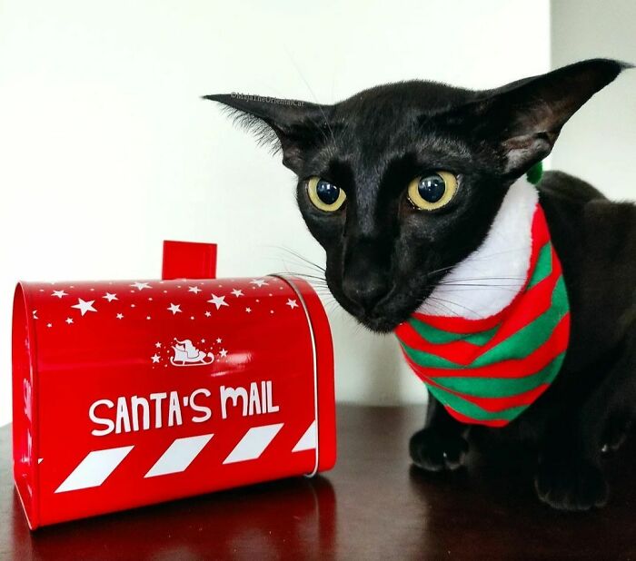 Waiting For Santa's Letter