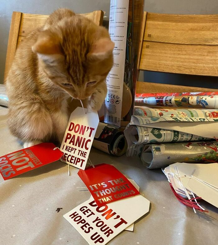 Blaze You Are Just So Helpful