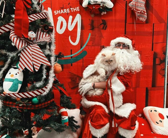 Had A Good Cuddle With Santa This Afternoon