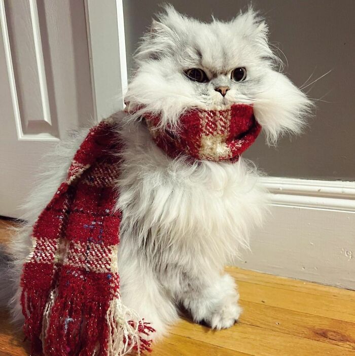 Baby It’s Cold Outside