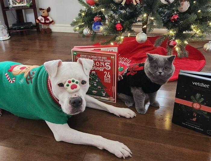 Waiting For Christmas