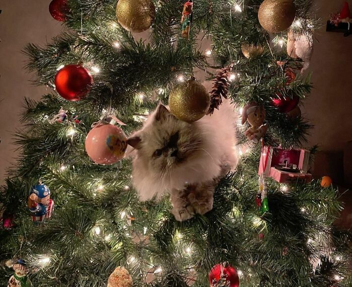 It's Me, Hi, I'm The Problem, It's Me