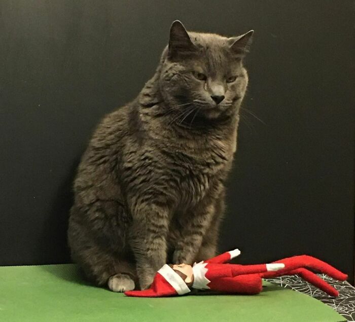 Wake Up, Elf, It's Time To Play!