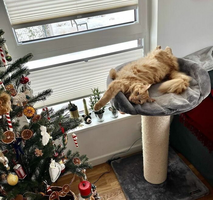 Christmas Got Me Feeling Like