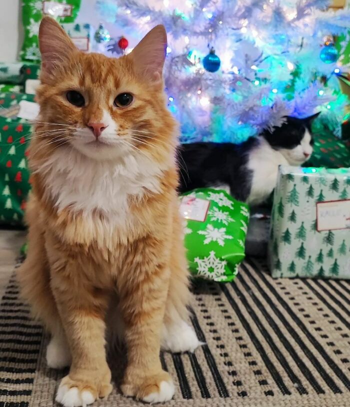 Santa's Little Helpers